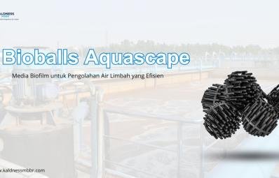 Bioballs Aquascape